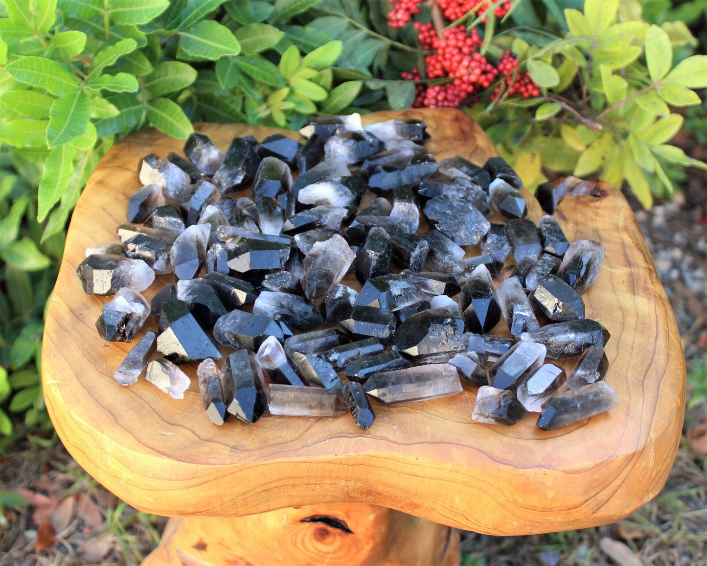 1/4 lb Bulk Lot Mixed Smokey & Quartz Crystal Natural Clear Points Smoky