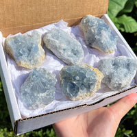 LARGE Natural Celestite Crystal Cluster Box: 6-8 Pieces, 1.75-2.5 lb Bulk Lot