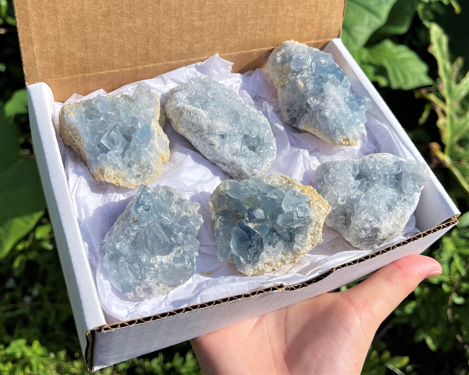 LARGE Natural Celestite Crystal Cluster Box: 6-8 Pieces, 1.75-2.5 lb Bulk Lot