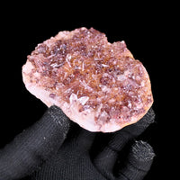 Phantom Clear Quartz 256g 10x8 cm Raw Natural Healing Crystal Cluster India