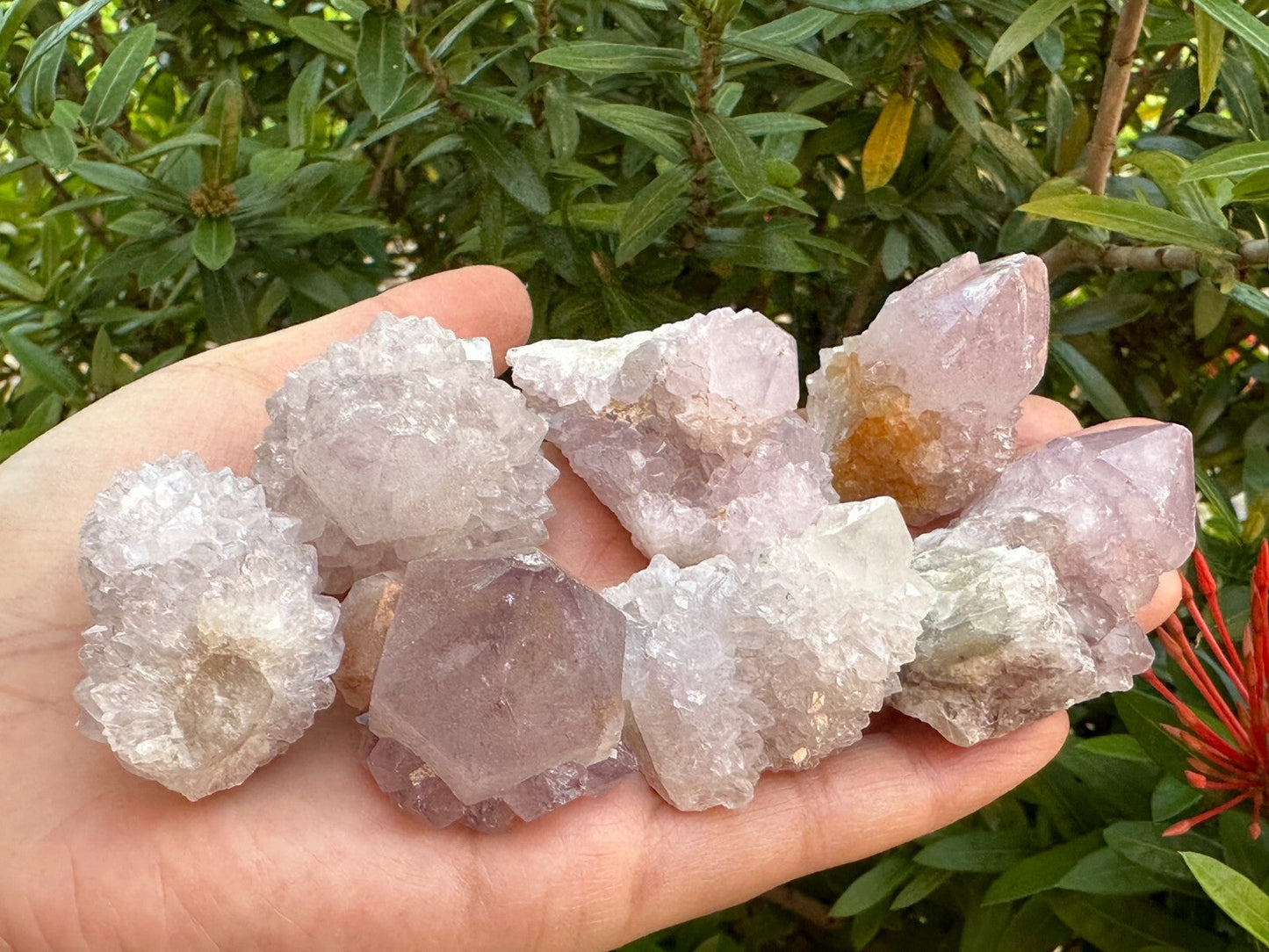 Grade A++Spirit Quartz Clusters,Natural Spirit Quartz Crystals, Porcupine Quartz