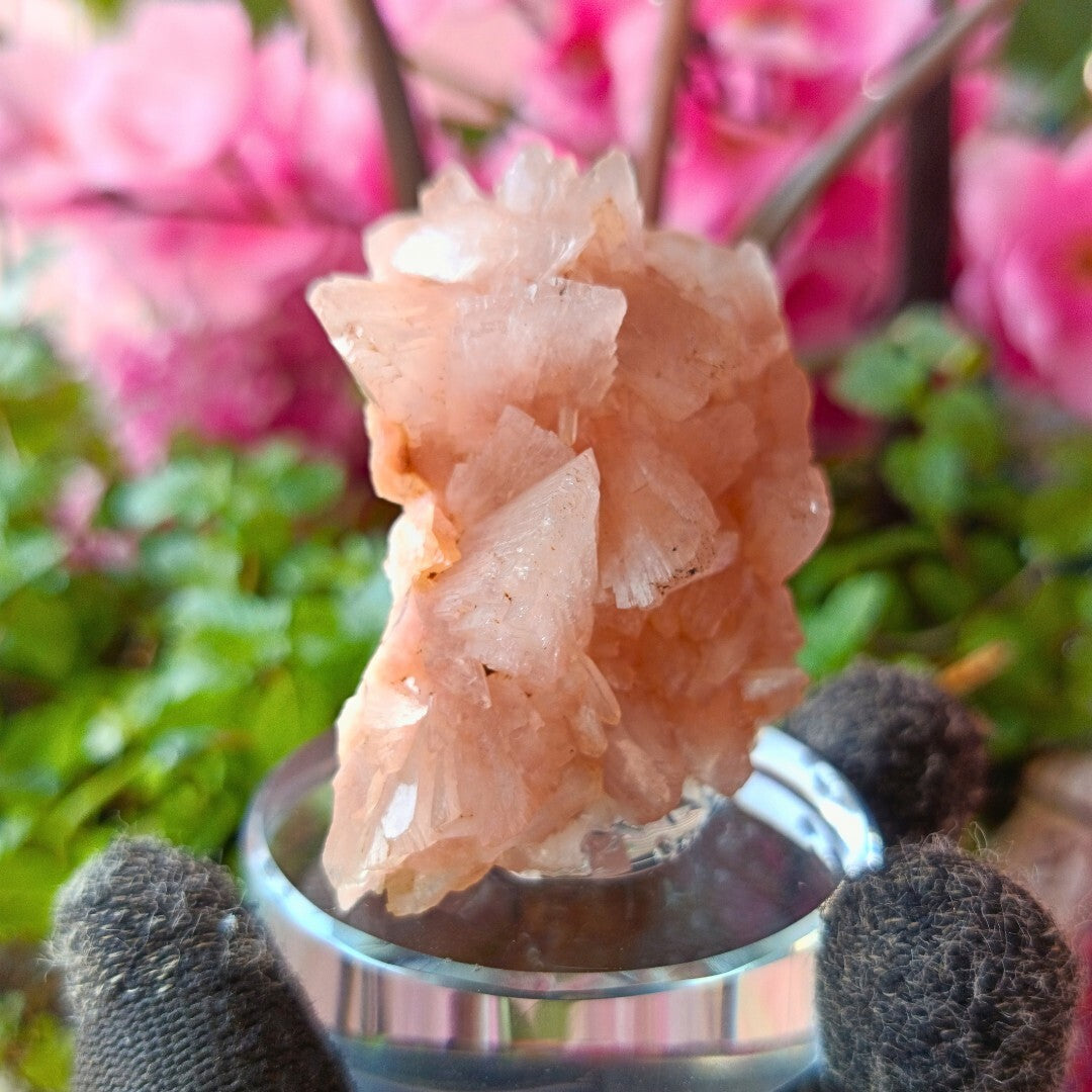 Rare Orange Stilbite & Heulandite Crystal Specimen 130g From India