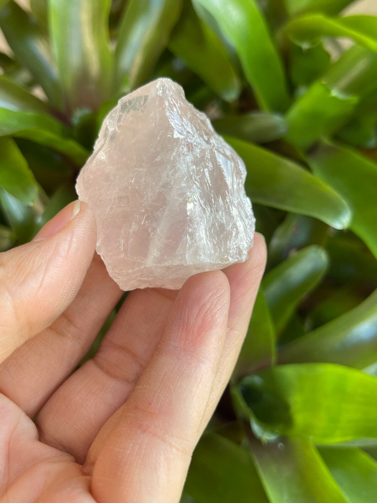 Natural Rough Rose Quartz Crystal Mineral, You Choose Amount