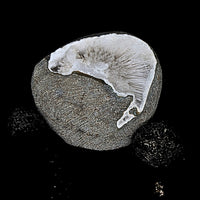 Natural Scolecite Geode 85g Raw Healing Crystal Mineral Specimen