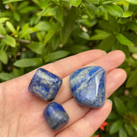 Grade A++ Lapis Lazuli Tumbled Stone, 0.65-1.5 Inch Lapis Crystal,Wholesale Bulk