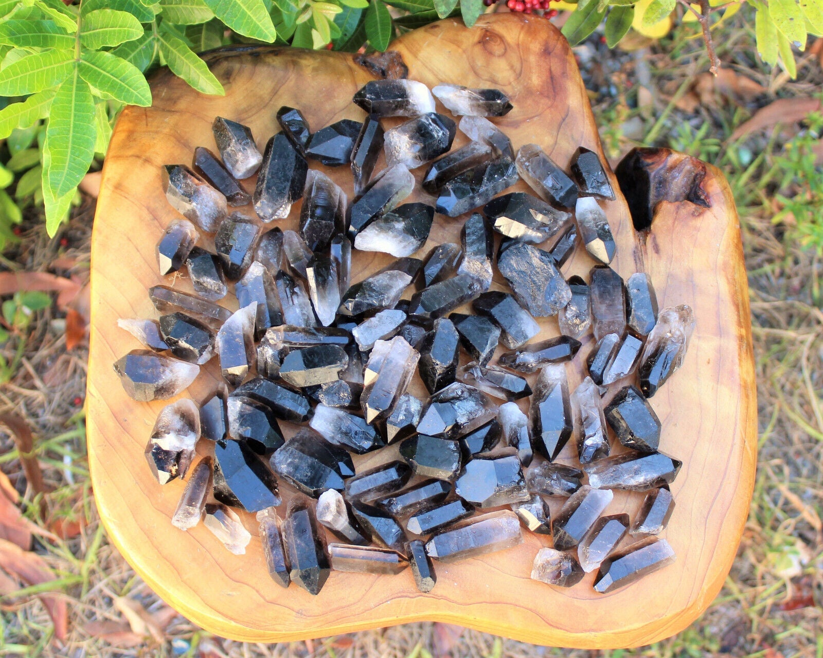 1/2 lb Bulk Smoky Quartz & Clear Quartz Crystal Collection Box (Natural Points)
