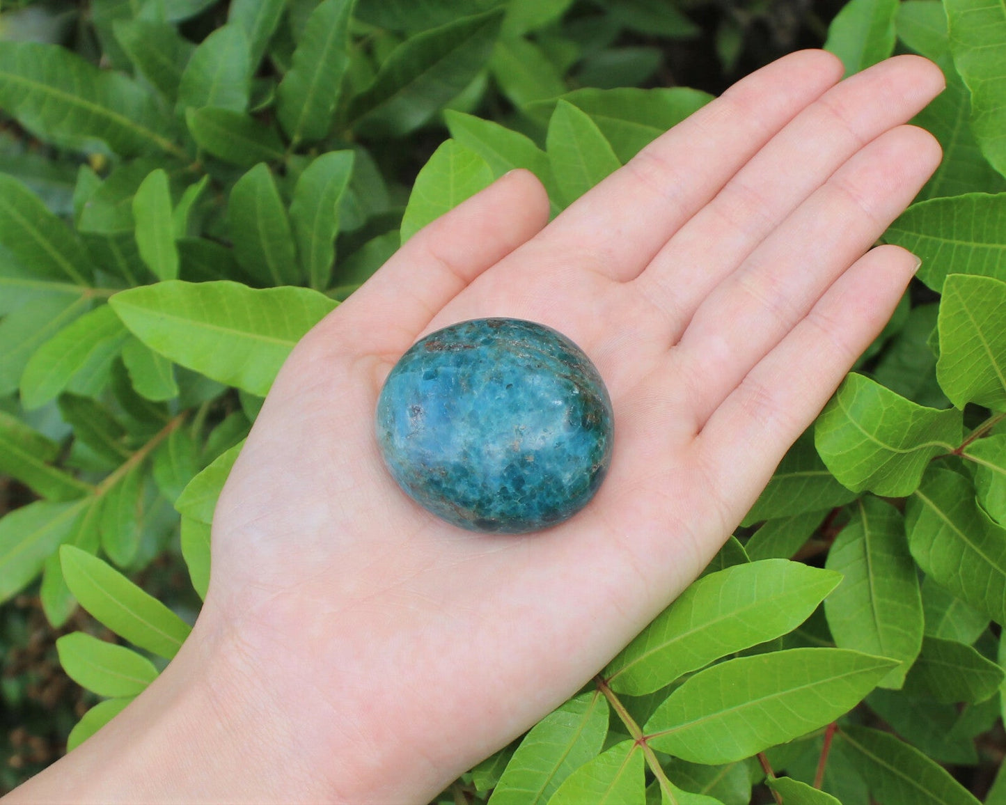 Blue Apatite Hand Polished Stones: Palm Stone, Blue Apatite Pebble Stone