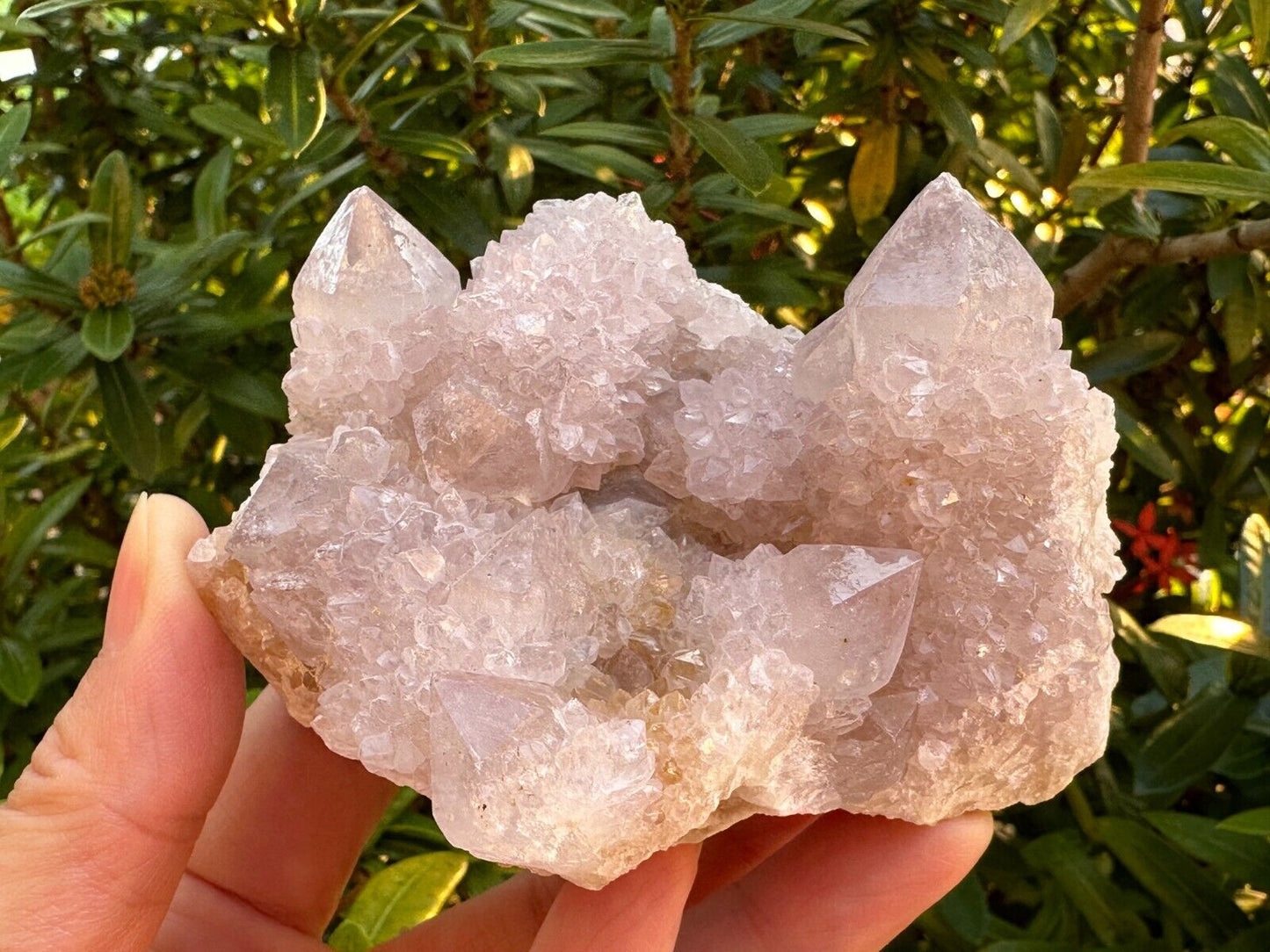 Grade A++Spirit Quartz Clusters,Natural Spirit Quartz Crystals, Porcupine Quartz