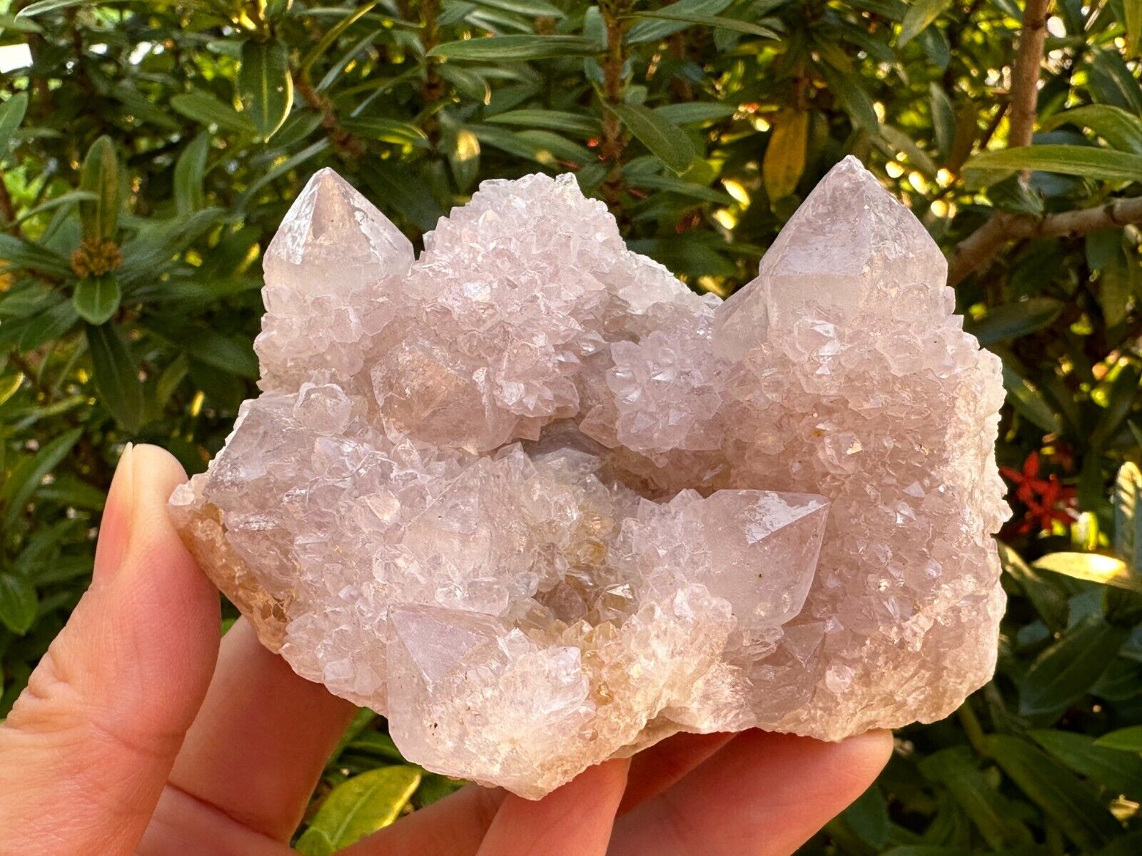 Grade A++Spirit Quartz Clusters,Natural Spirit Quartz Crystals, Porcupine Quartz