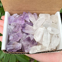 1/2 lb Bulk Amethyst & Quartz Crystal Collection in Box, Natural Clear Points