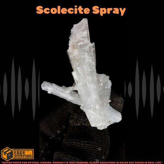 Rare 6g Scolecite Cluster Crystal Mineral Specimen Natural Zeolite India