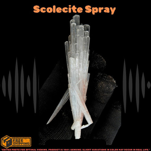 Natural Scolecite Spray Cluster 26g Zeolite Crystal Mineral from India