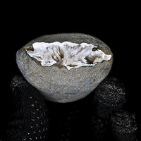 115g Scolecite Geode Natural Radiating Crystal Mineral India