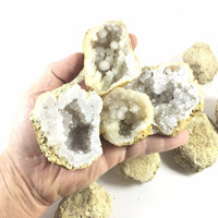10 Break Crack Open Your Own Whole indian Geodes W/Gift Box - 2" Crystal Druzy