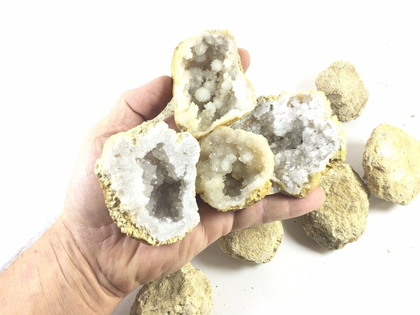 10 Break Crack Open Your Own Whole indian Geodes W/Gift Box - 2" Crystal Druzy