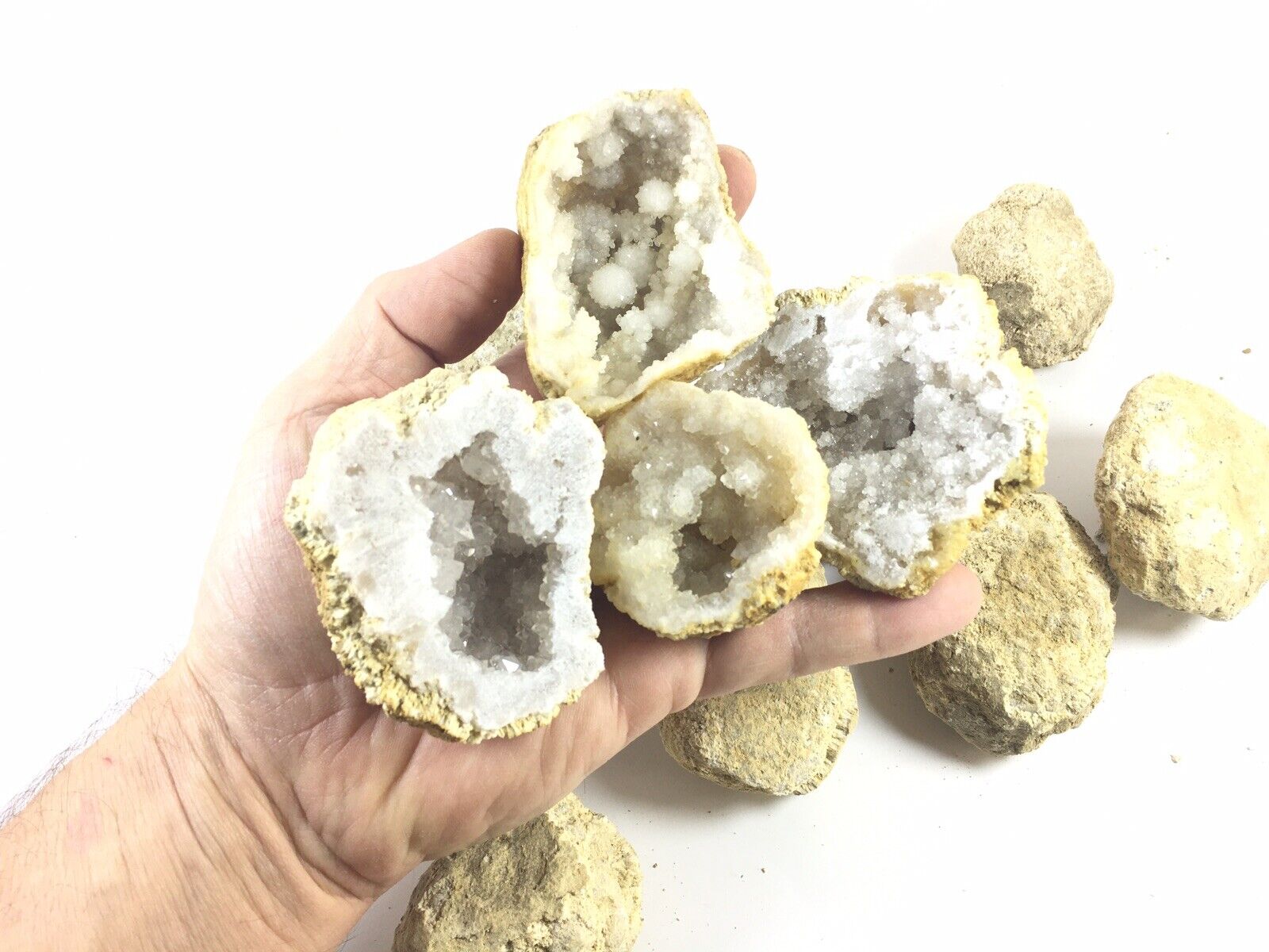 10 Break Crack Open Your Own Whole indian Geodes W/Gift Box - 2" Crystal Druzy