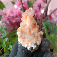 Orange Stilbite & Heulandite Crystal Cluster 120g Energy & Chakra Stone