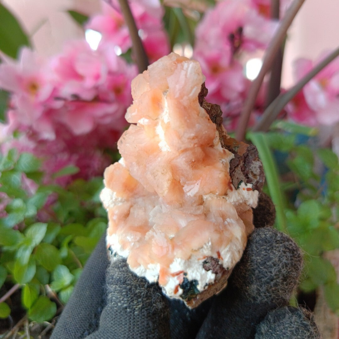 Orange Stilbite & Heulandite Crystal Cluster 120g Energy & Chakra Stone