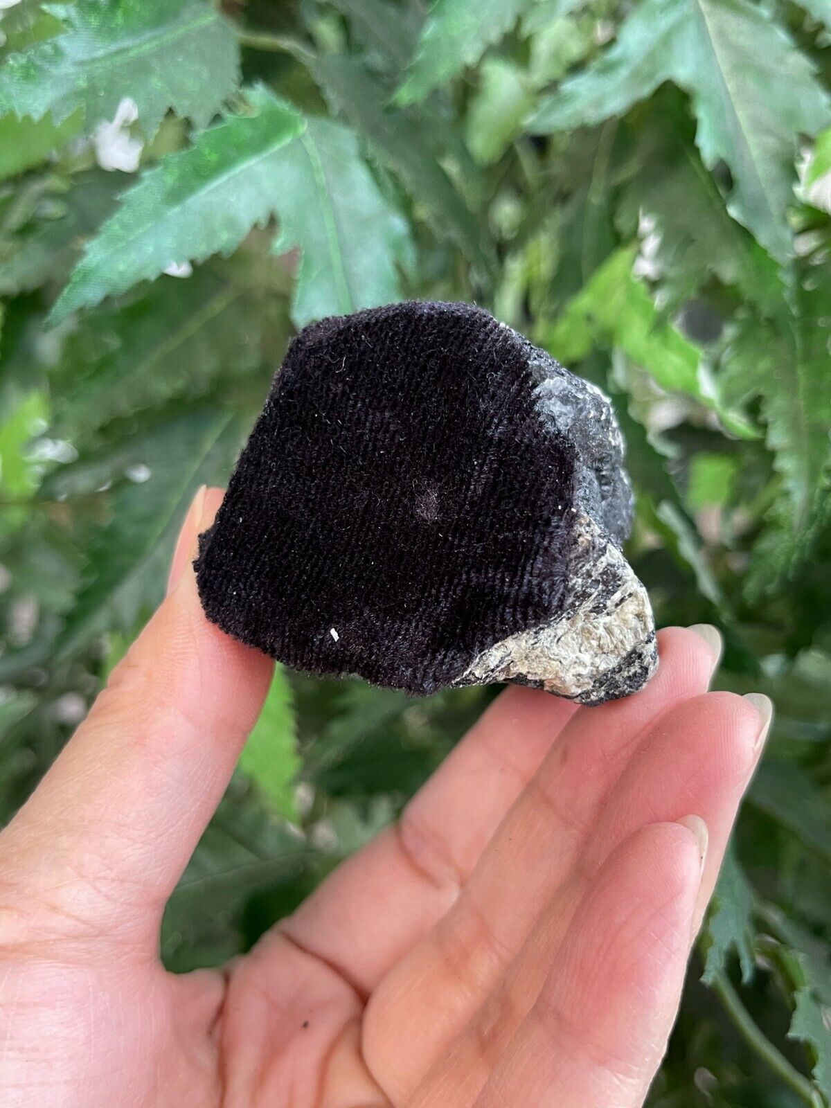 Standing Raw Black Tourmaline Chunk / Rod, Free Form Natural Black Tourmaline