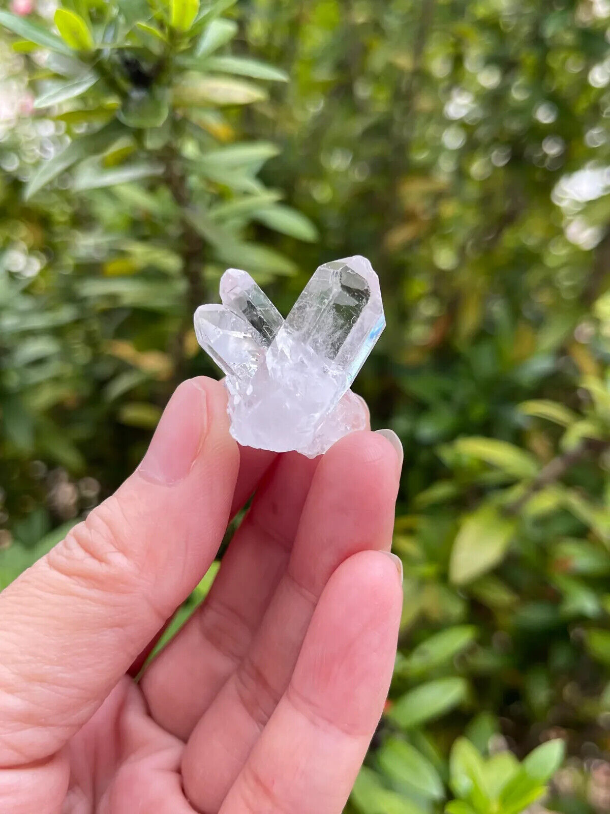 10 pcs Box Clear Quartz Clusters Collection, Grade A++ Raw Clear Quartz Geode