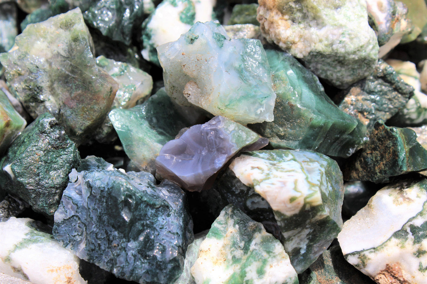 1000 Carat Bulk Lot Natural Rough Moss Agate, Raw Rock Crystal Healing 200 Grams
