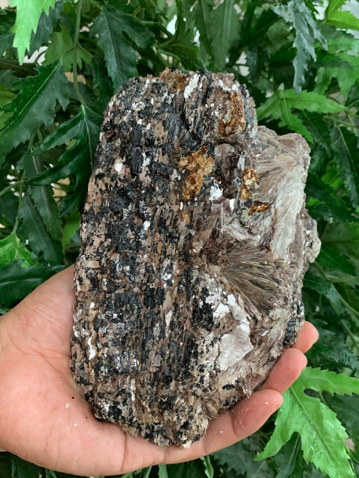 Extra Large Black Tourmaline Chunk / Rod / Log, Natural Rough Black Tourmaline