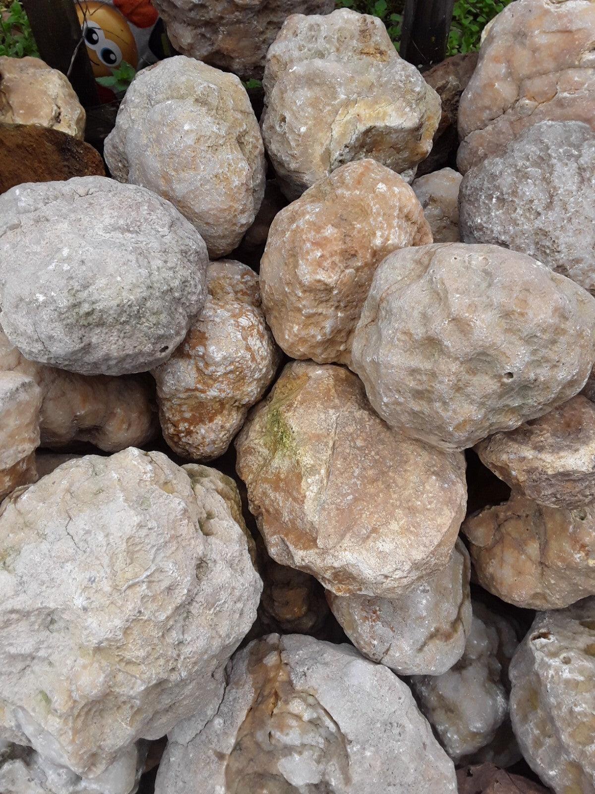 5 lbs Premium Kentucky Uncut Geodes Agates Nodules Lapidary Quartz Crystals Sale
