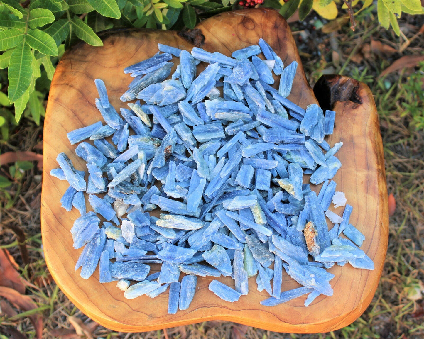 Blue Kyanite Blades Crystal Collection 1/2 lb Box Lot - Natural Kyanite Crystals