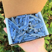 Blue Kyanite Blades Crystal Collection 1/2 lb Box Lot - Natural Kyanite Crystals