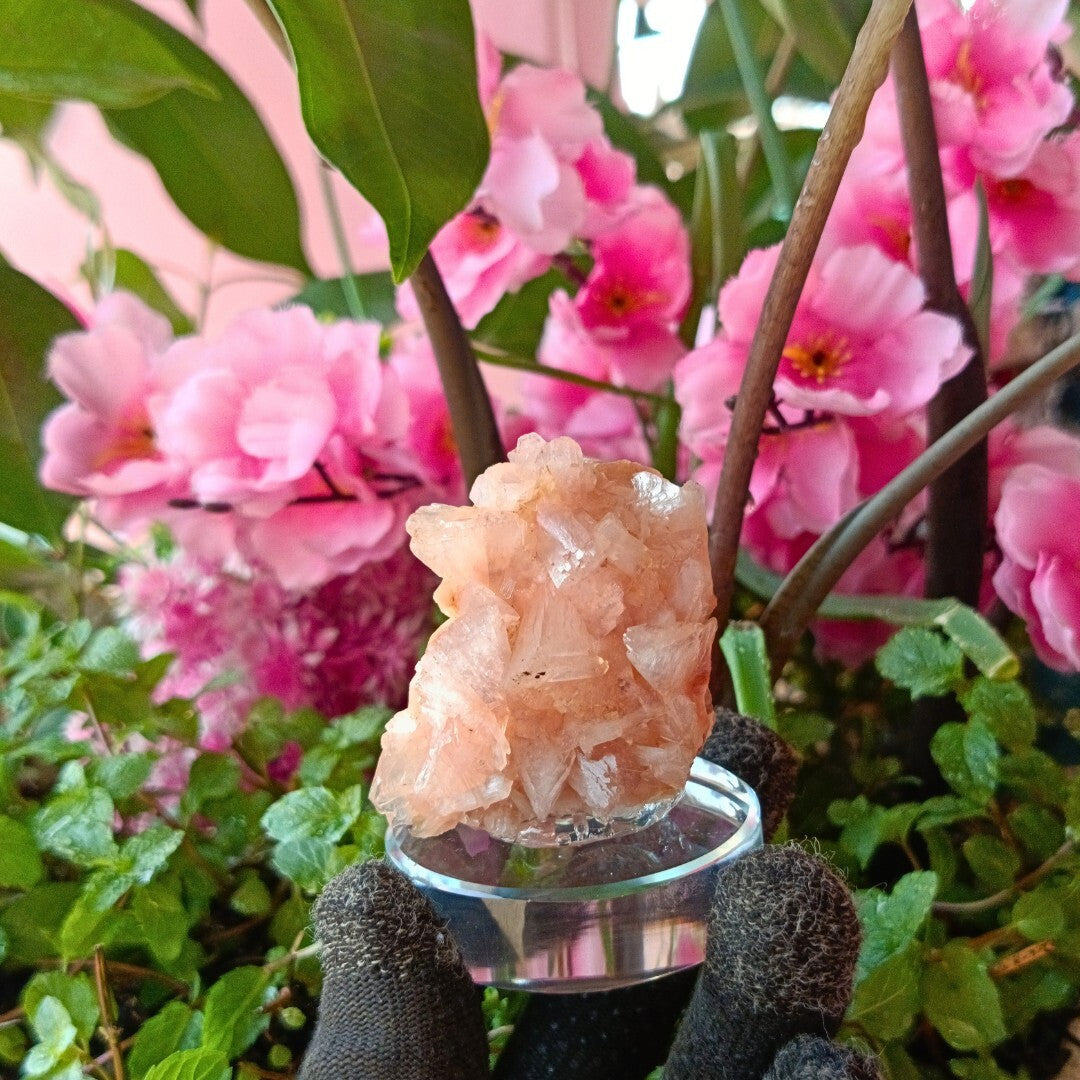 Rare Orange Stilbite & Heulandite Crystal Specimen 130g From India