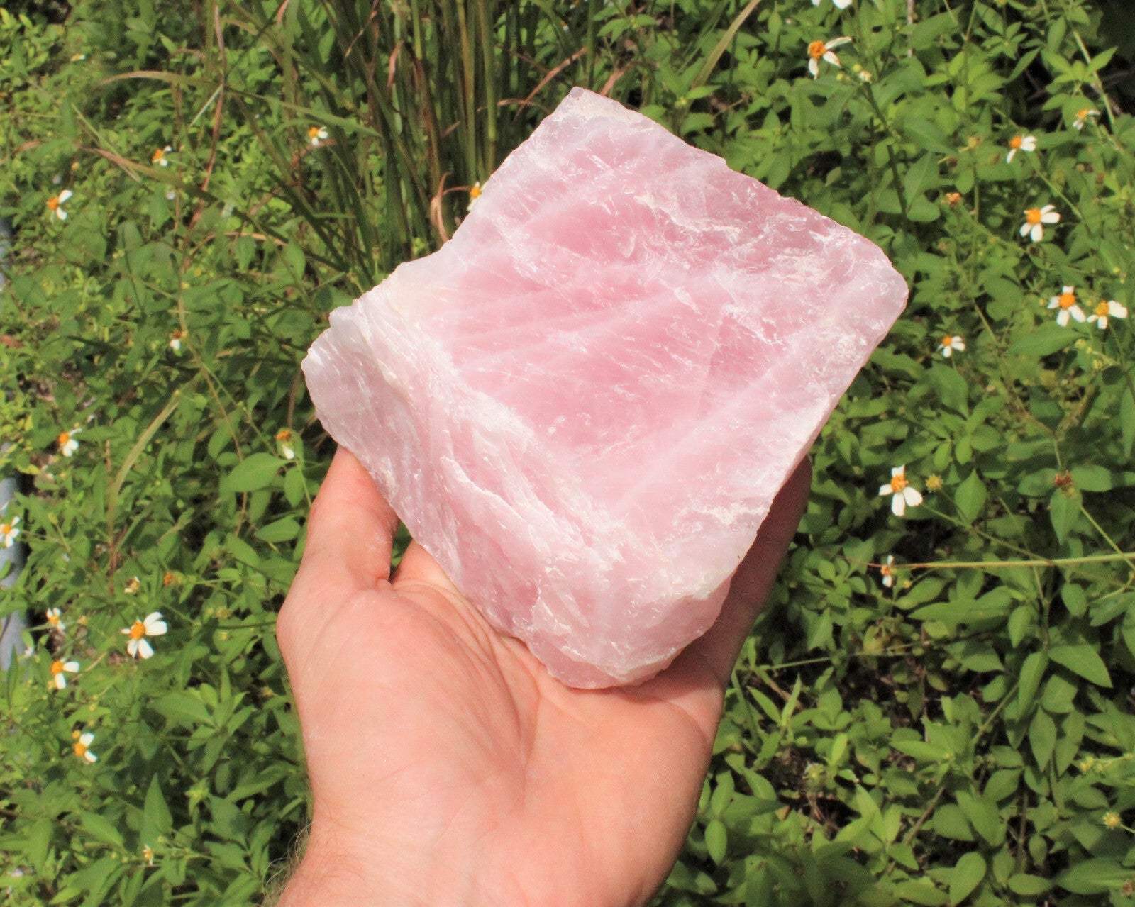 JUMBO Rose Quartz Raw Natural Crystal Specimen: 1 - 2 lb HUGE Chunk (Love Stone)
