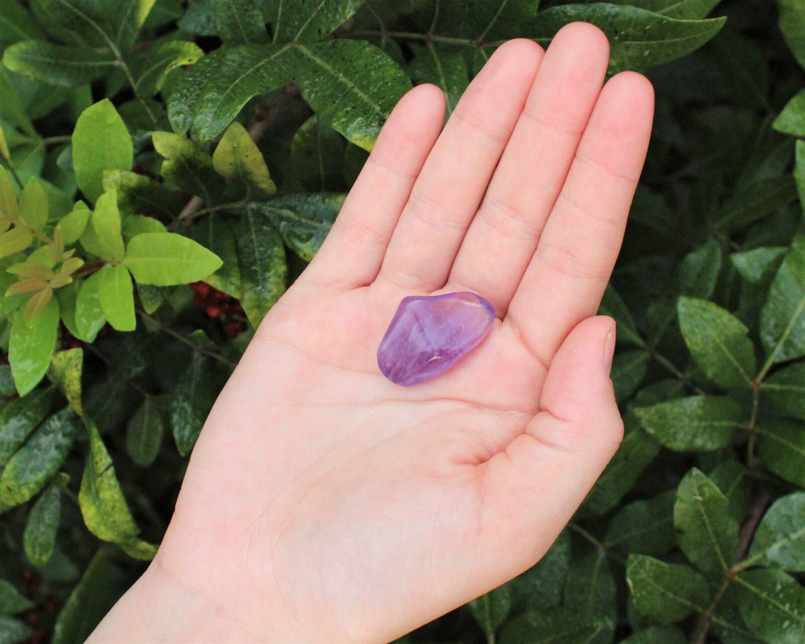 1 x Tumbled Stones : You Choose Type - Huge Range - ON SALE! (Crystal Healing)