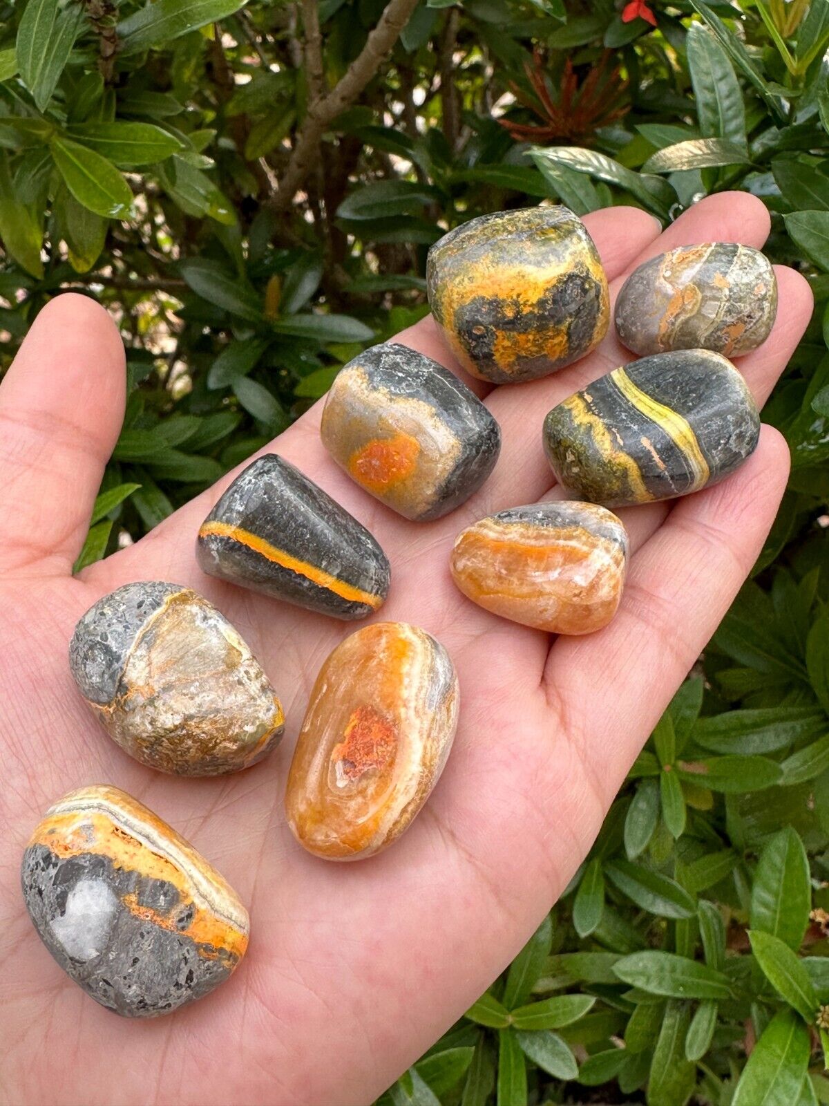 1/2 Lb Lot Tumbled Stones, 0.75-1.25" Crystal Healing Stones, Choose Stone Type