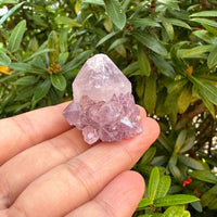 Spirit Quartz Clusters Crystal Collection Box: 6 - 7 oz Box Lot, 11 - 14 Pieces