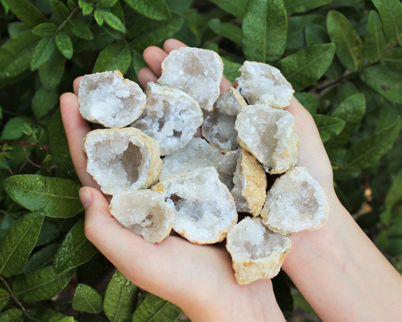 Break Your Own Geodes | Large Unopened Indian Geodes | Bulk Lot by Pound