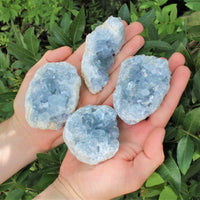 LARGE Natural Celestite Crystal Cluster Box: 6-8 Pieces, 1.75-2.5 lb Bulk Lot