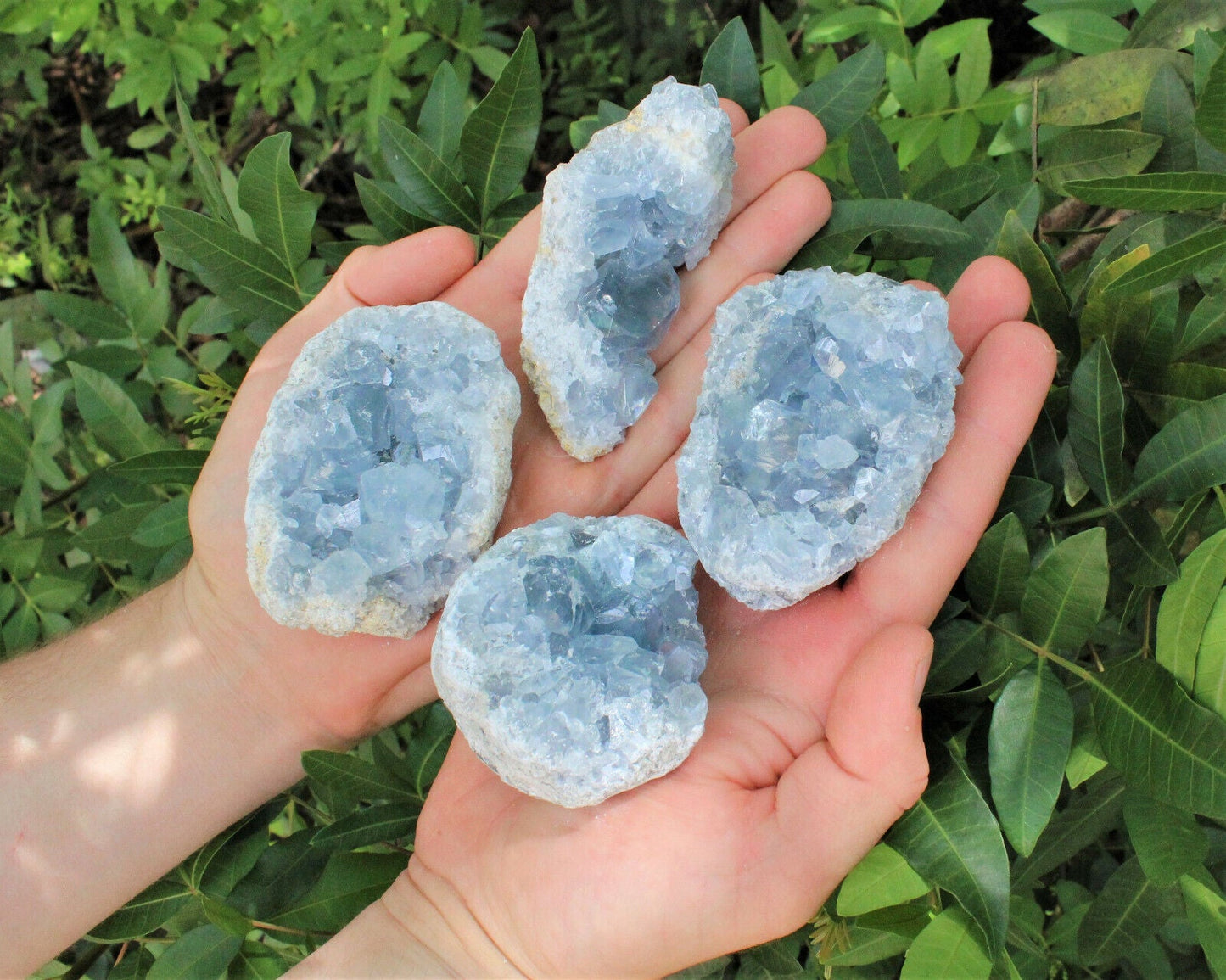 LARGE Natural Celestite Crystal Cluster Box: 6-8 Pieces, 1.75-2.5 lb Bulk Lot