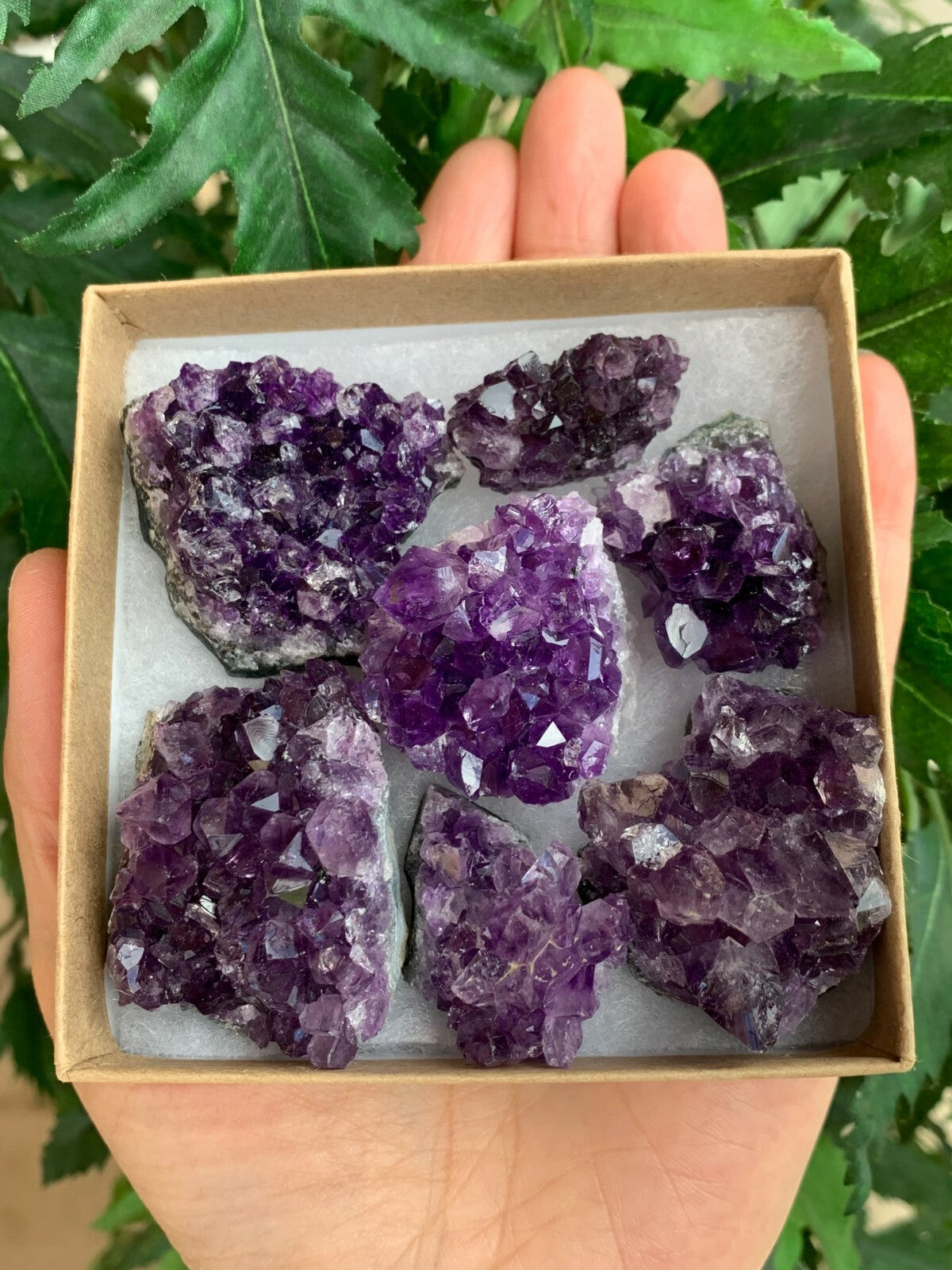 Raw Amethyst Cluster Druzy Collection Box:6-8 oz, 7 - 10 Pieces Natural Amethyst