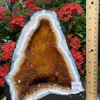 X-Large Citrine Cathedral, Citrine Geode, Honey Citrine Cluster, Pick a Weight