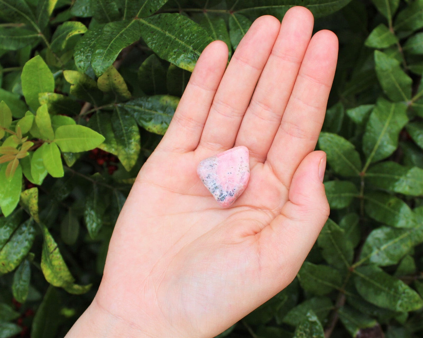 1 x Tumbled Stones : You Choose Type - Huge Range - ON SALE! (Crystal Healing)