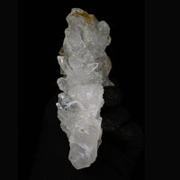 Natural Clear White Himalayan Quartz 1.21 lbs Crystal Specimen India