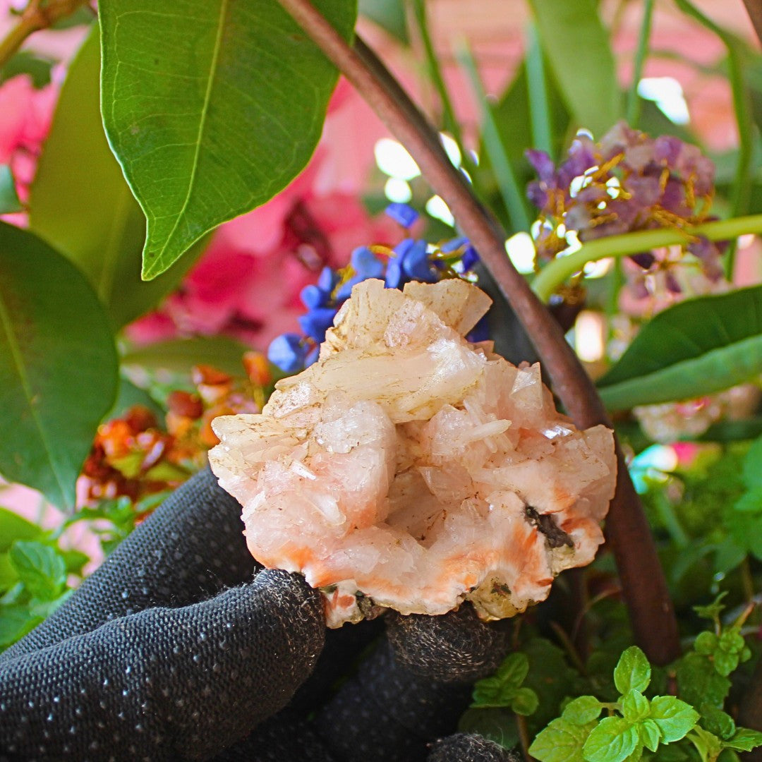 130g Stilbite with Heulandite on Matrix | Rare Mineral Crystal from India