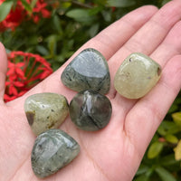 1/2 Lb Lot Tumbled Stones, 0.75-1.25" Crystal Healing Stones, Choose Stone Type