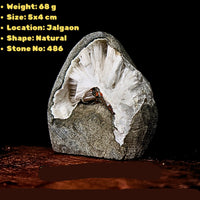 Scolecite Geode 68g Healing Crystal Crown Chakra Reiki Meditation Stone