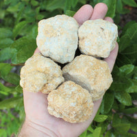 Break Your Own Geodes | Large Unopened Indian Geodes | Bulk Lot by Pound