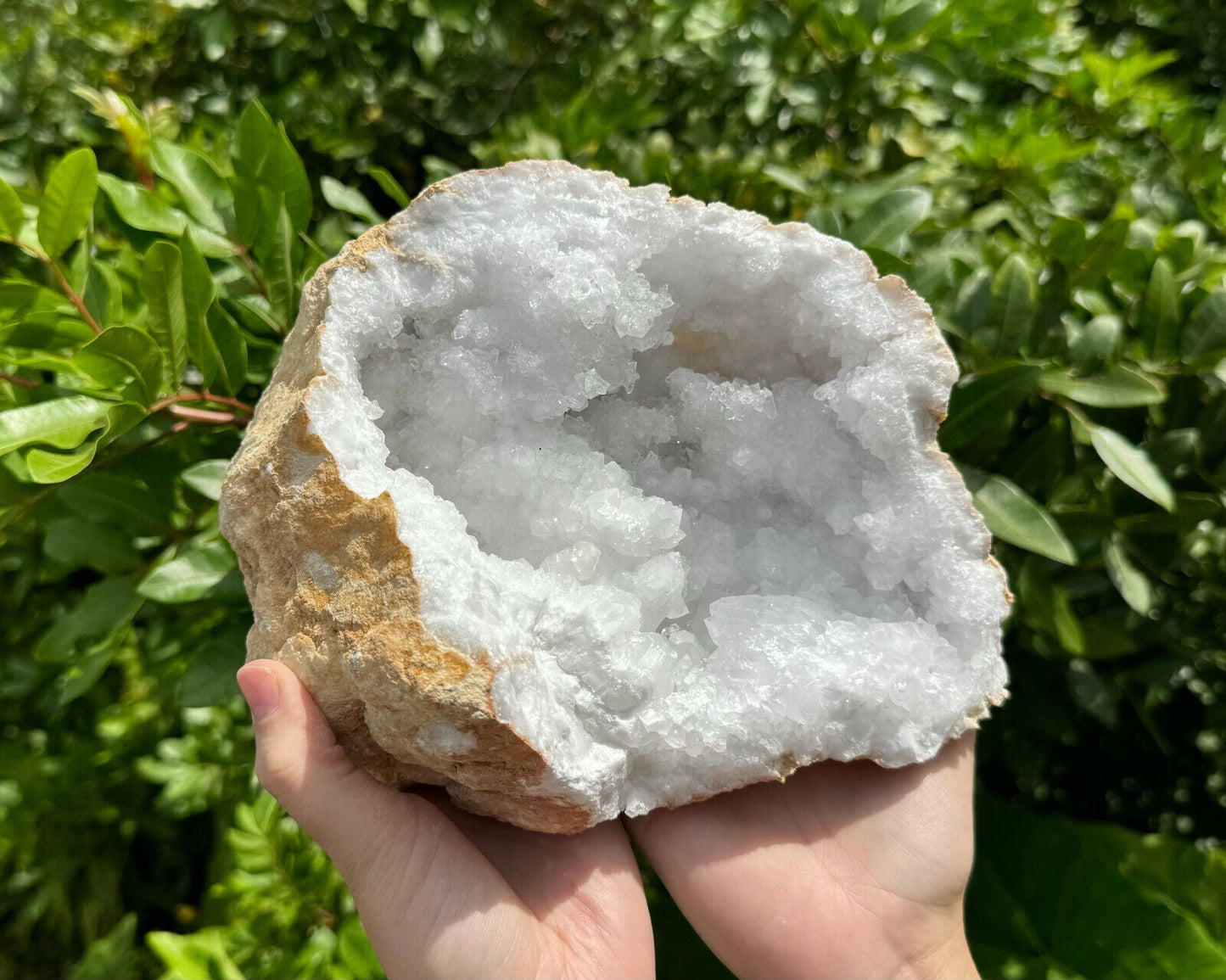 MASSIVE Sugar Quartz Geodes - Natural Crystal Geode Specimens From Morocco