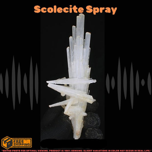 Natural Scolecite Crystal Cluster 52g White Zeolite Mineral from India