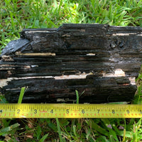 Extra Large Black Tourmaline Chunk / Rod / Log, Natural Rough Black Tourmaline
