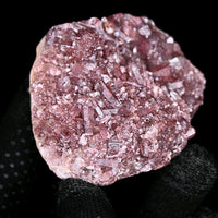 Phantom Clear Quartz Cluster 100g Natural Crystal Specimen from India