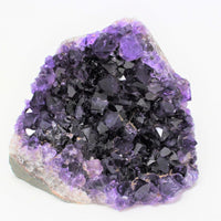 Stunning LARGE Amethyst Cut Base Cluster, Crystal Quartz Geode 8 - 11 oz